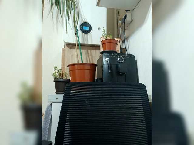 AdaJoy's BongaCams show and profile