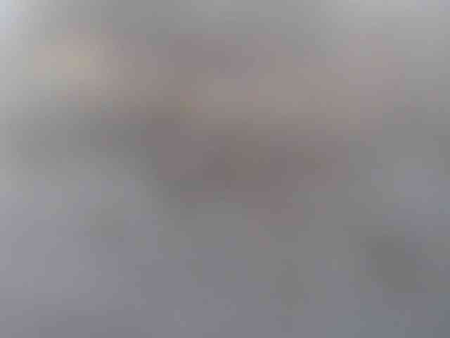 CorneliaSweet webcam