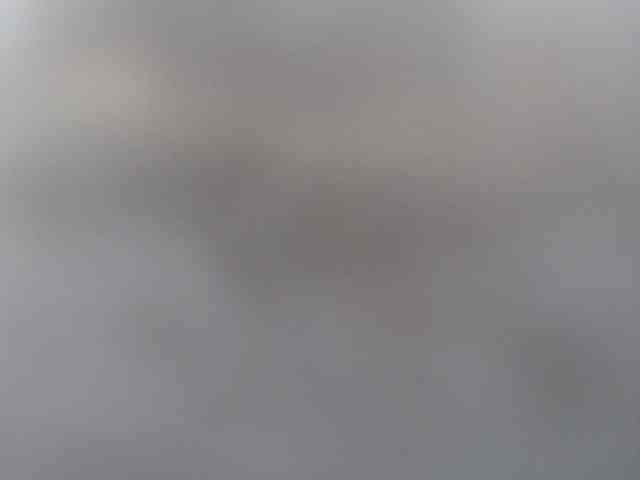 CorneliaSweet webcam