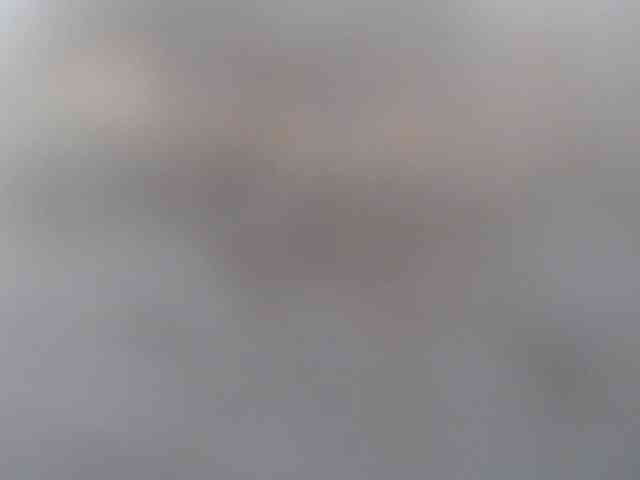 CorneliaSweet webcam