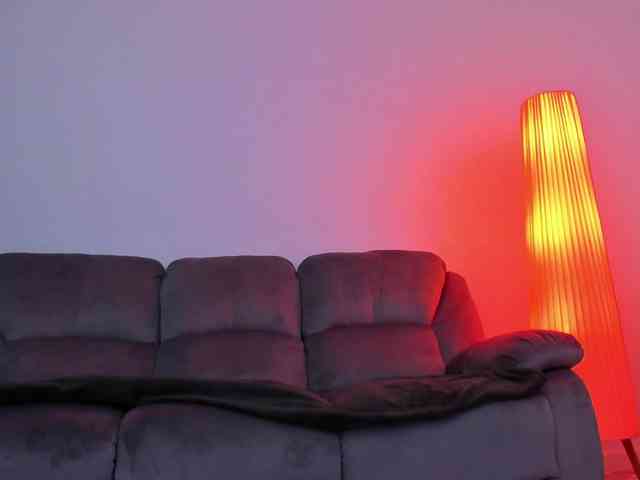 SecretVanilla webcam