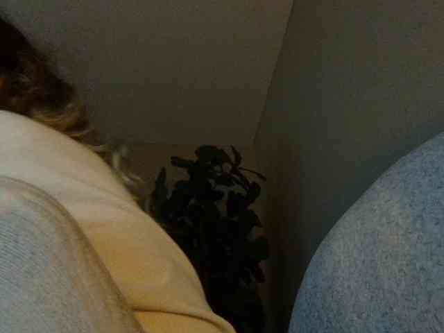 high-lavie high-lavie