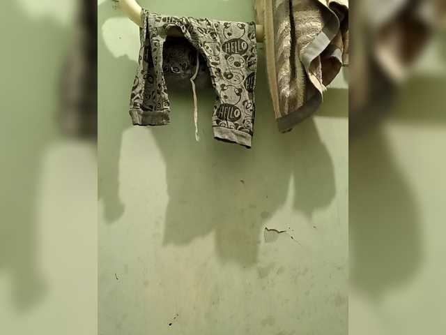 MyLady live cam profile