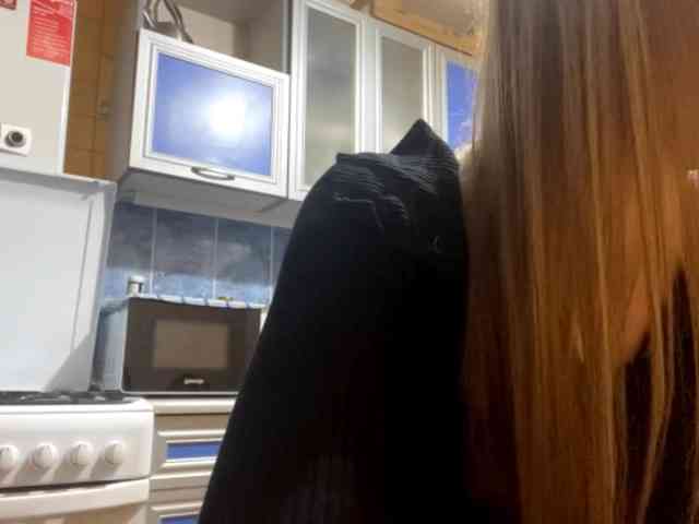 OneidaAlvanas webcam