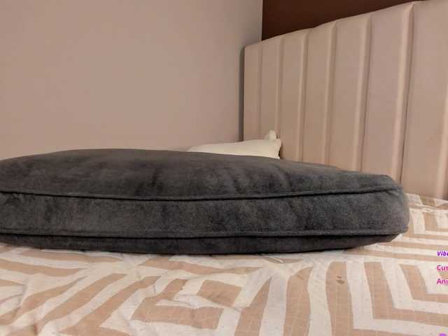 hellewkitty's BongaCams show and profile