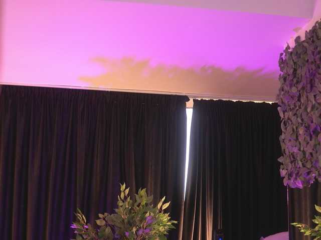 JamilaMaiden from BongaCams is Freechat