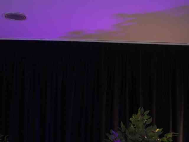 JamilaMaiden JamilaMaiden