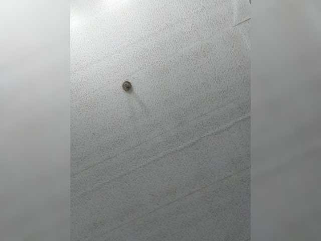 Abbye's BongaCams show and profile