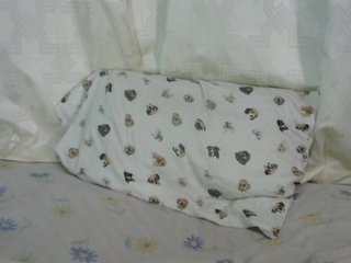 anitahnasty Porn Show