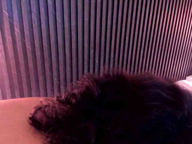 Amy-Carter Amy-Carter