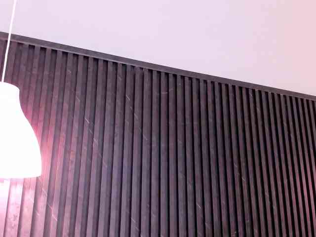 Amy-Carter Live Webcam on BongaCams