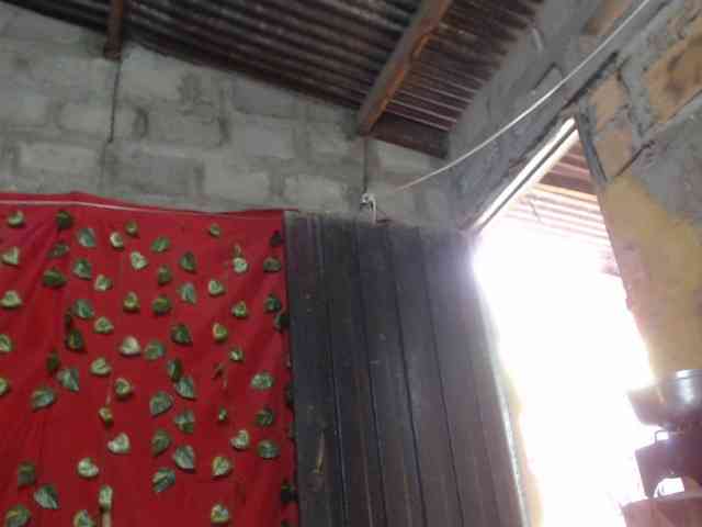 veropatrifire Live Webcam on BongaCams