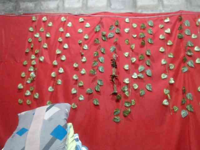 veropatrifire Live Webcam on BongaCams