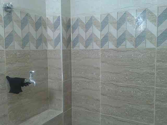 Finebubblyassie webcam