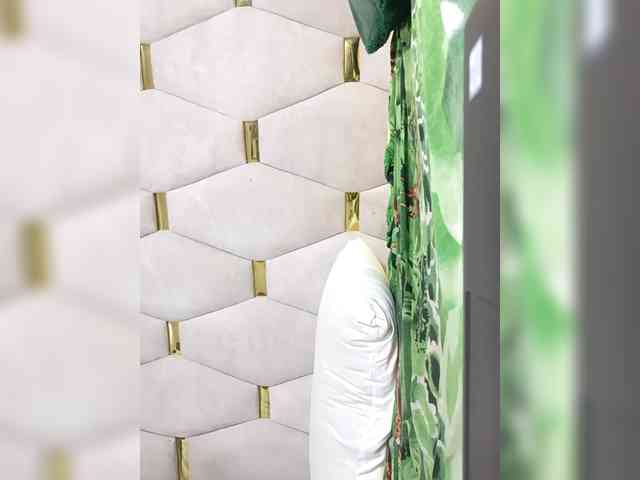 Finebubblyassie webcam