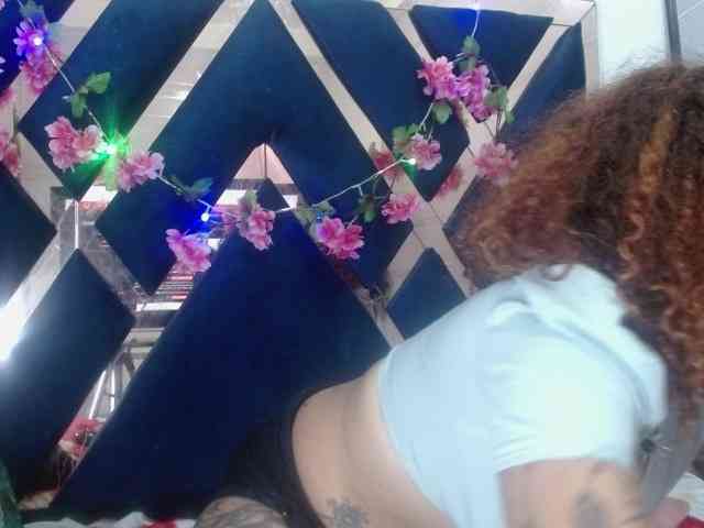 Mariposatatto webcam