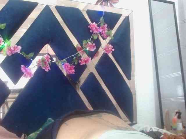 Mariposatatto webcam