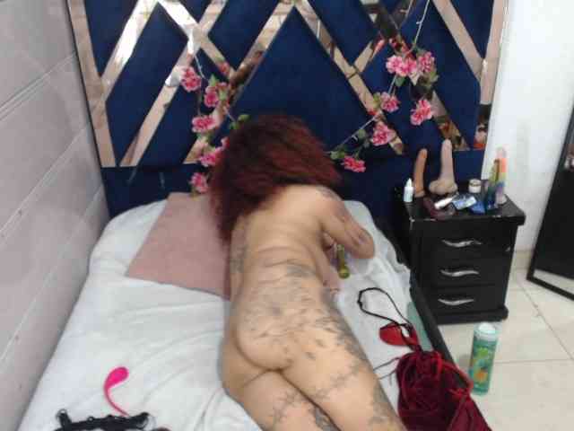 Mariposatatto webcam