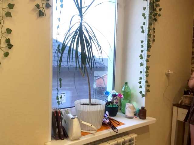 BettieClemence's BongaCams show and profile