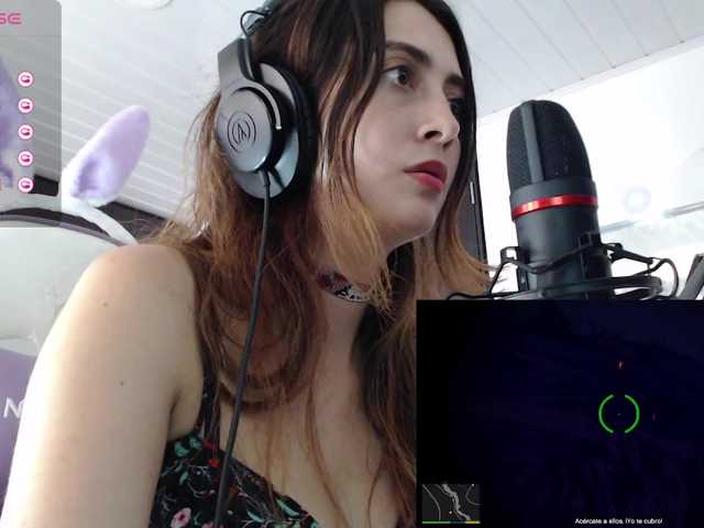 Preview of amylov342