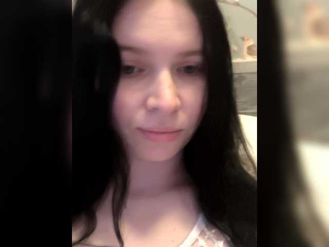 модель Stefiitofi