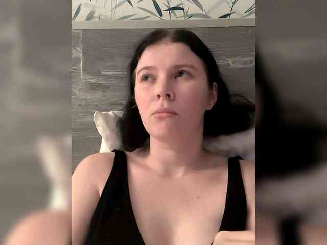 Stefiitofi Stefiitofi