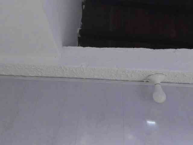 AliciaWhite-nt webcam