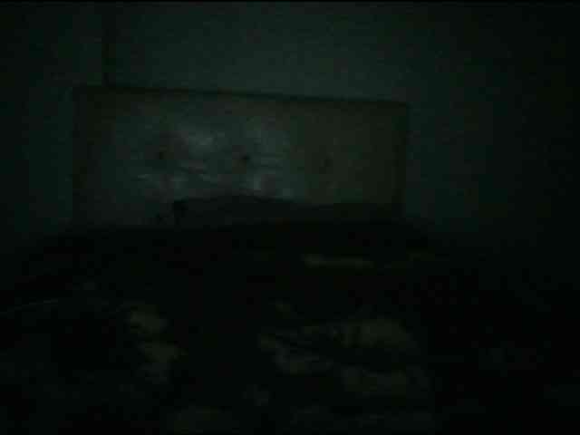 Alisex3131s Alisex3131s