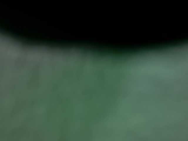 hornybe3's BongaCams show and profile