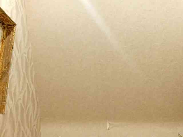 FidelaStickford webcam