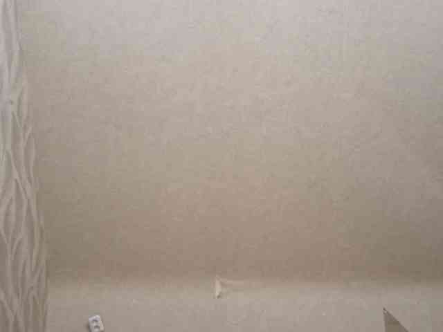 FidelaStickford webcam