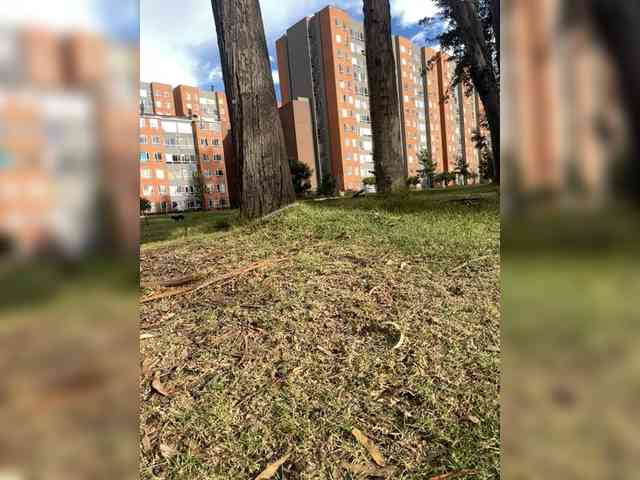 wanda-and-cosmo webcam