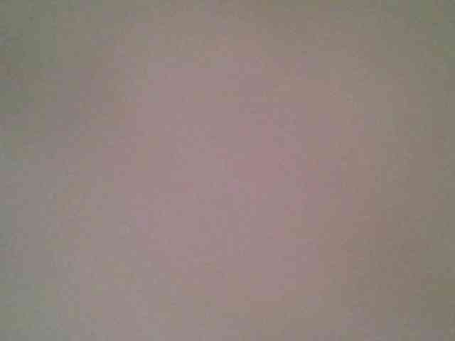 lionversace lionversace