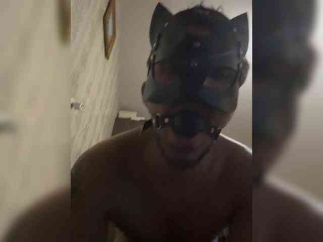 Pupsikcmok1 Pupsikcmok1