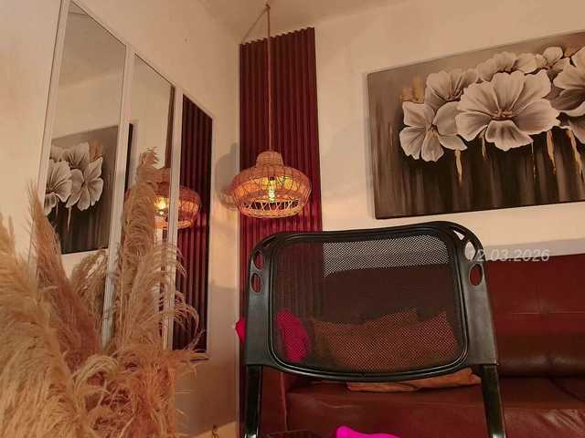 Preview of alice-blaker