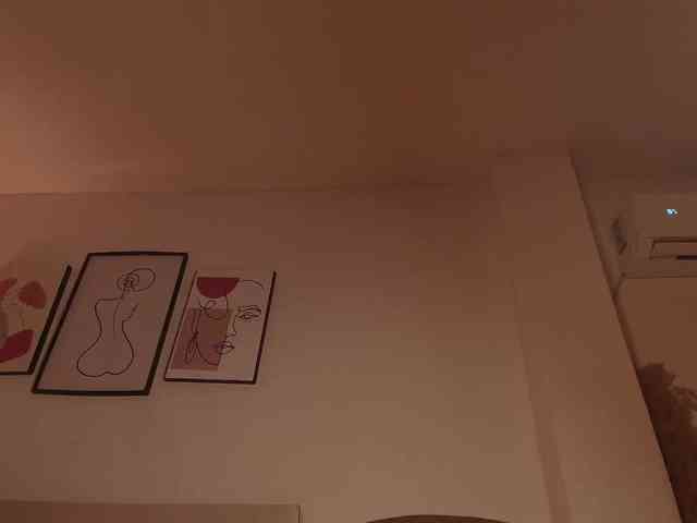 Alice-blaker Alice-blaker