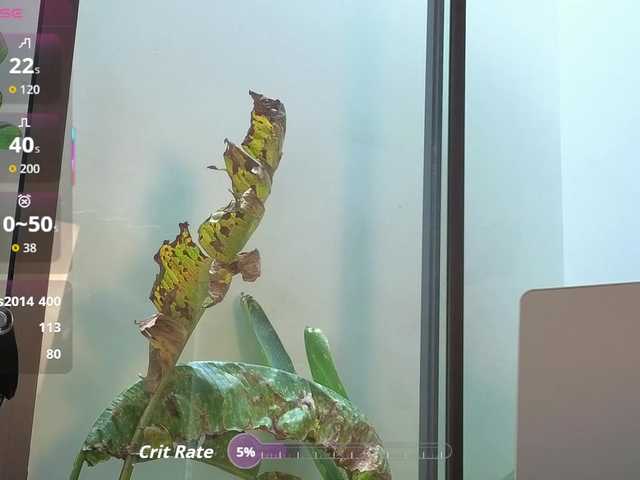 came-a-lot's BongaCams show and profile