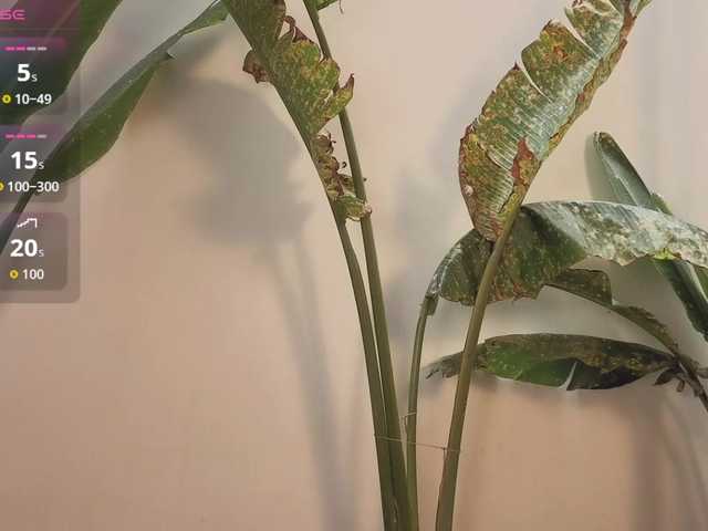 came-a-lot's BongaCams show and profile