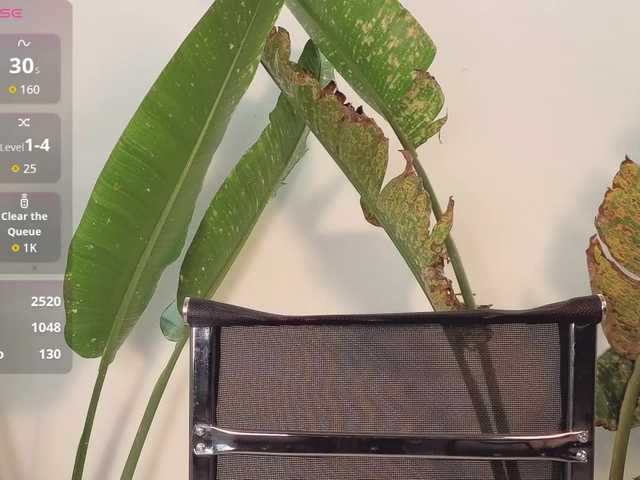 came-a-lot's BongaCams show and profile