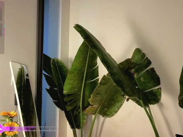 came-a-lot's BongaCams show and profile