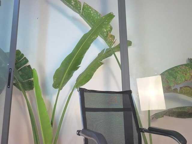 came-a-lot's BongaCams show and profile