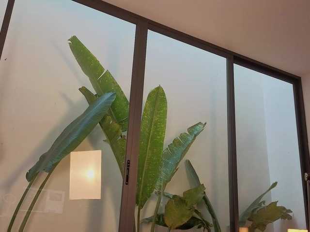 came-a-lot's BongaCams show and profile