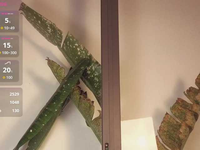 came-a-lot's BongaCams show and profile