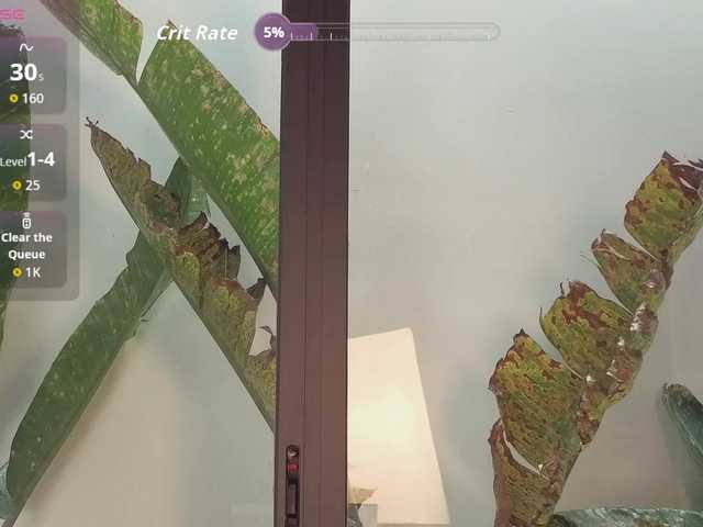 came-a-lot's BongaCams show and profile