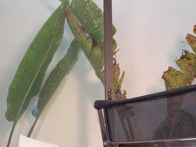 came-a-lot's BongaCams show and profile