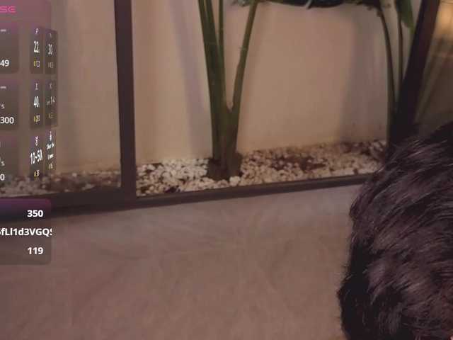 came-a-lot from BongaCams is Freechat