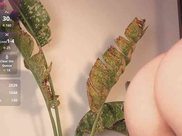 came-a-lot came-a-lot