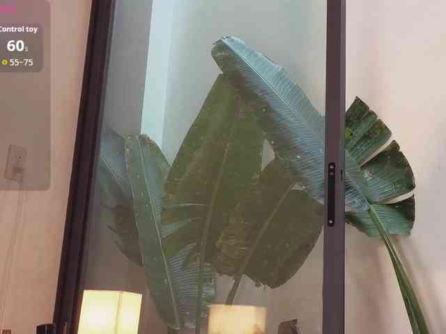 came-a-lot Live Webcam on BongaCams