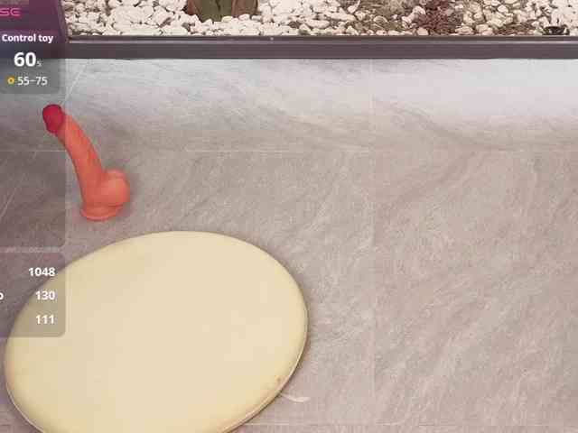 came-a-lot Live Webcam on BongaCams