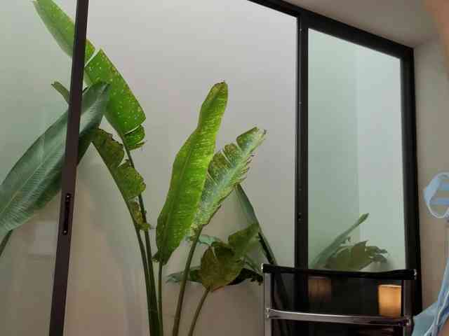 came-a-lot came-a-lot